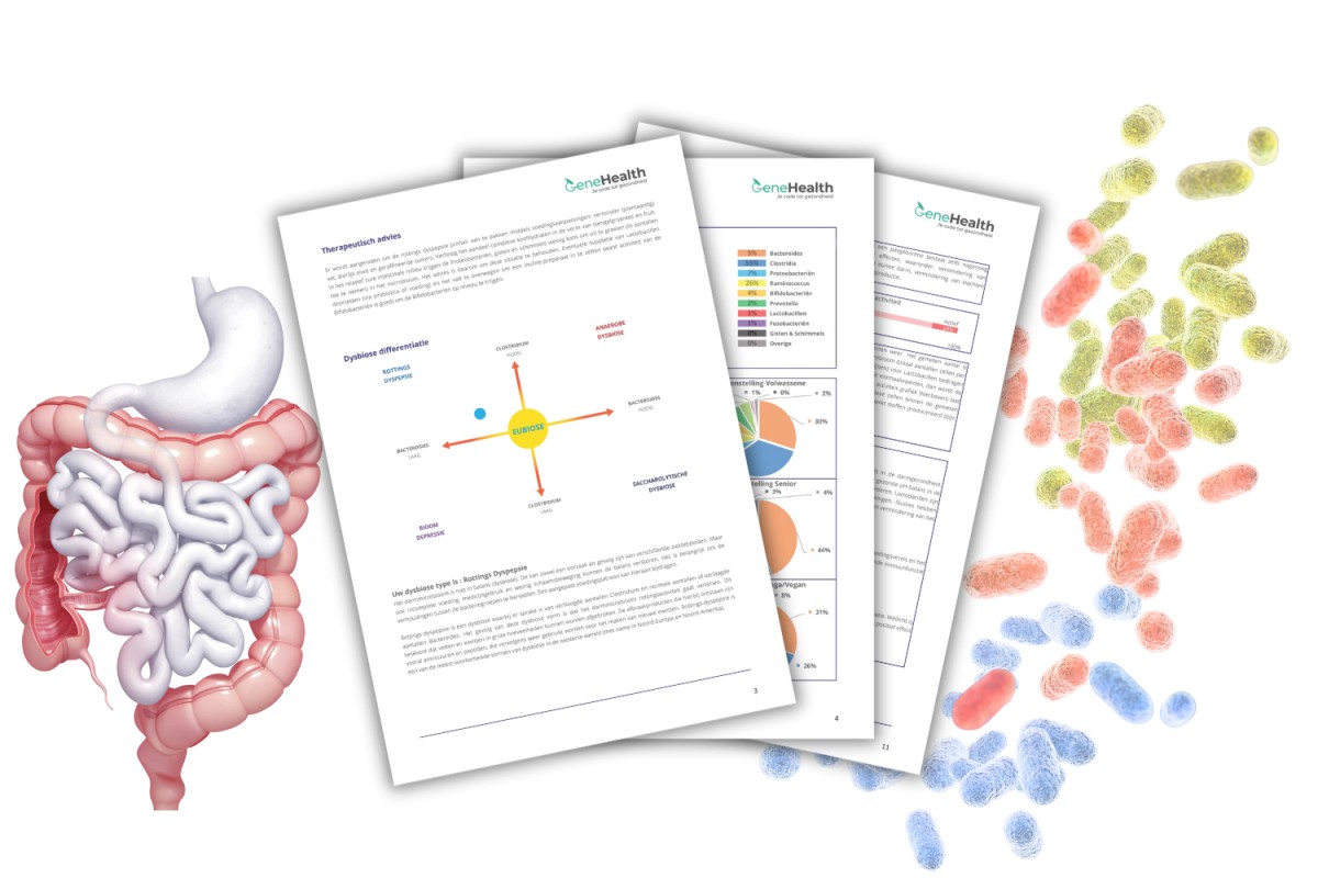 Darmflora (microbioom)
